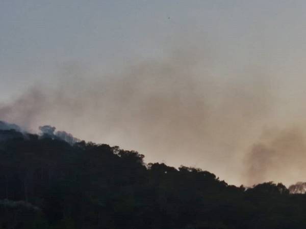 Incendios florestais destroem a natureza nas montanhas do Estado 03