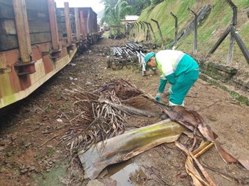 Prefeitura de Marechal Floriano realiza limpeza da linha férrea na próxima semana