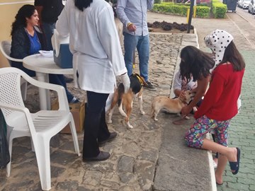 Vacinação de animais contra raiva continua hoje 27 em Marechal Floriano
