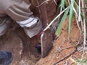 Corpo de Bombeiros realiza opera&ccedil;&atilde;o para salvar cachorro em Domingos Martins 2