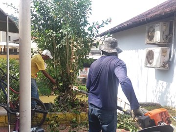 Corte de galhos e limpeza &agrave;s margens da BR 262 em Marechal Floriano