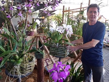 Exposição com plantas a partir de R 10 em Domingos Martins
