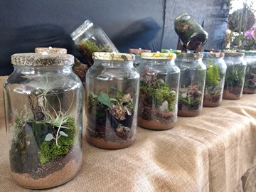 Exposição com plantas a partir de R 10 em Domingos Martins 2