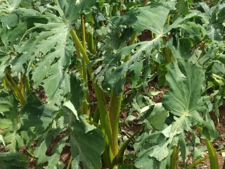 WhatsApp Image 2019 10 27 at 11.54.42 2