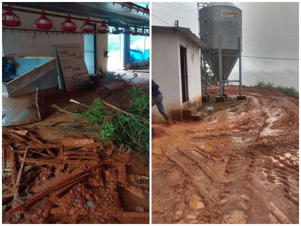 Desmoronamento de granjas causa preju&iacute;zo de quase R 800 mil