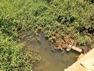 Moradores de S&atilde;o Bento sofrem com falta de saneamento b&aacute;sico e com creche superlotada 2