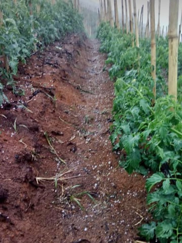 Ventos e granizo assustam moradores de São Bento de Urânia