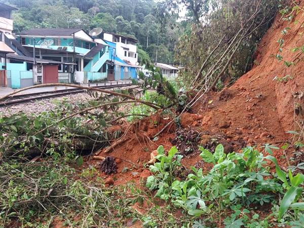 Ventos fortes derrubam arvore que ameacava queda na linha ferrea em Marechal Floriano 02