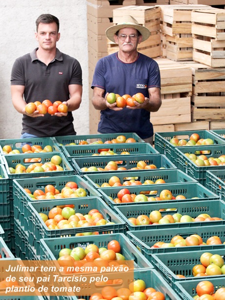 especial tomate3