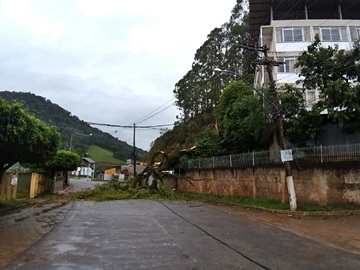 Árvore cai em fios elétricos e moradores de Santa Isabel amanhecem sem energia 2