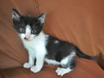 Ciclistas de Marechal Floriano aumentam o número de passeios pela região rural 2