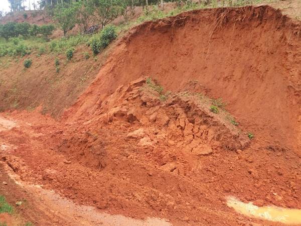 Forte temporal em Marechal Floriano provoca queda de barreiras e arvores em estrada 02