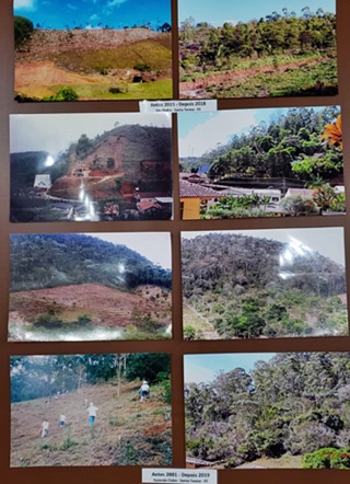 Reflorestamento &eacute; destaque em evento promovido pela f&aacute;brica de biscoitos Kebis 3