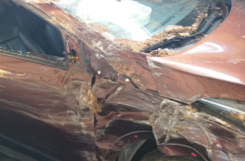 Acidentes envolvem carros de passeio na BR 262 em Marechal Floriano 2