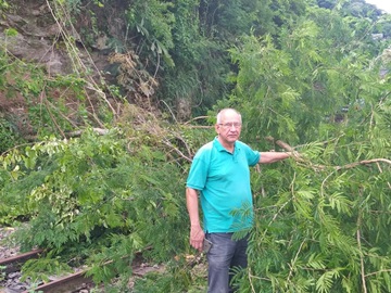 Árvore caída na linha férrea ao lado da estação de Marechal Floriano