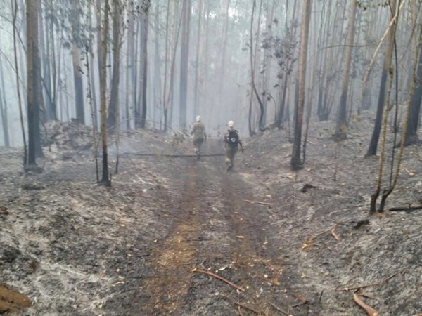 Bombeiros de Marechal Floriano alertam cuidados aos lavradores para evitar incêndios 2