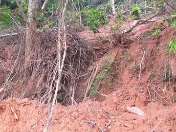 Equipe de ferrovi&aacute;rios encontra dificuldades para limpar a linha f&eacute;rrea em Marechal Floriano 