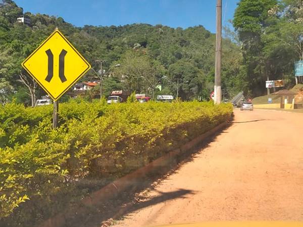 Planta muito desenvolvida pode tirar a visibilidade dos motoristas da BR262 em Marechal Floriano 03