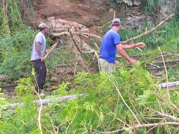 Removida &aacute;rvore que desabou ao lado do Museu do Imperador em Marechal Floriano