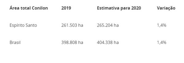 Cafeicultura capixaba contribui para possivel supersafra nacional 02