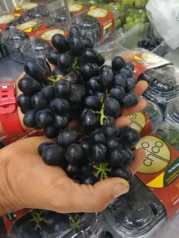 Festa da Uva e do Vinho em São Bento de Urânia Alfredo Chaves na 56ª edição