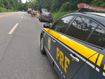 Manobra na Rodovia BR 262 em Marechal Floriano provoca colisão