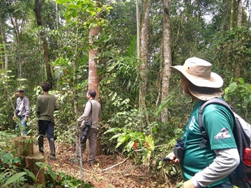 Retiro de Carnaval alternativo com espiritualidade e alimentação orgânica em Marechal Floriano