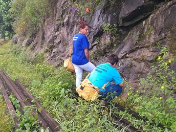 Setor de Vigilância Ambiental de Marechal Floriano trabalha para prevenir os casos de dengue