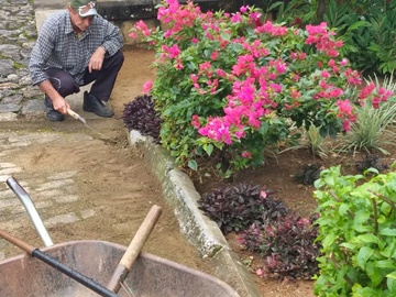 Prefeitura mantém limpos os terrenos da ferrovia em Marechal Floriano 2