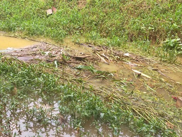 Sujeira e encanamentos reduzem vazão da água de um córrego em Marechal Floriano 2