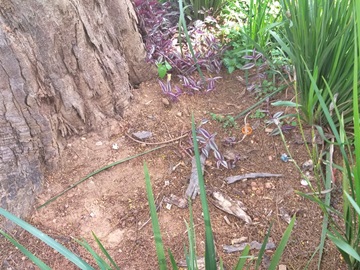 WhatsApp Image 2020 04 16 at 14.30.31