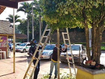 Árvores no trevo da Rodovia BR 262 são aparadas