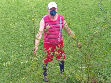 Corte dos matos na lateral do campo de futebol anima moradores em Marechal Floriano 6
