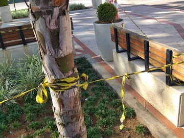 Fitas para distanciamento nas praças e pontes retiradas por vândalos e postas novamente pela Prefeitura 2