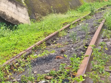 Matagal na linha férrea começou a ser cortado hoje 31