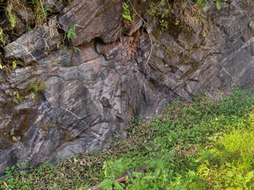Moradores sentem falta das águas das nascentes nas matas de Marechal Floriano 2