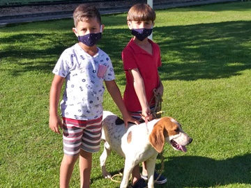 Reportagem do Montanhas Capixabas ajuda a recuperar cãozinho sumido