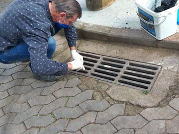 Proliferação de ratos tira o sossego de moradores