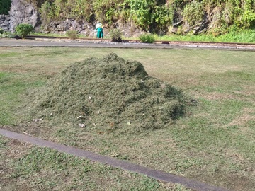 Servidores municipais concluem roçado de gramado no centro de Marechal Floriano 2