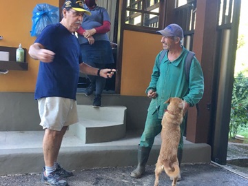 Cadelinha que apareceu em condomínio retorna a seu dono