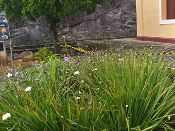 Centro de Marechal Floriano ainda mais florido através do plantio de mudas 2