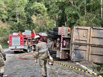 Homem fica preso às ferragens após caminhão tombar e bater em árvore