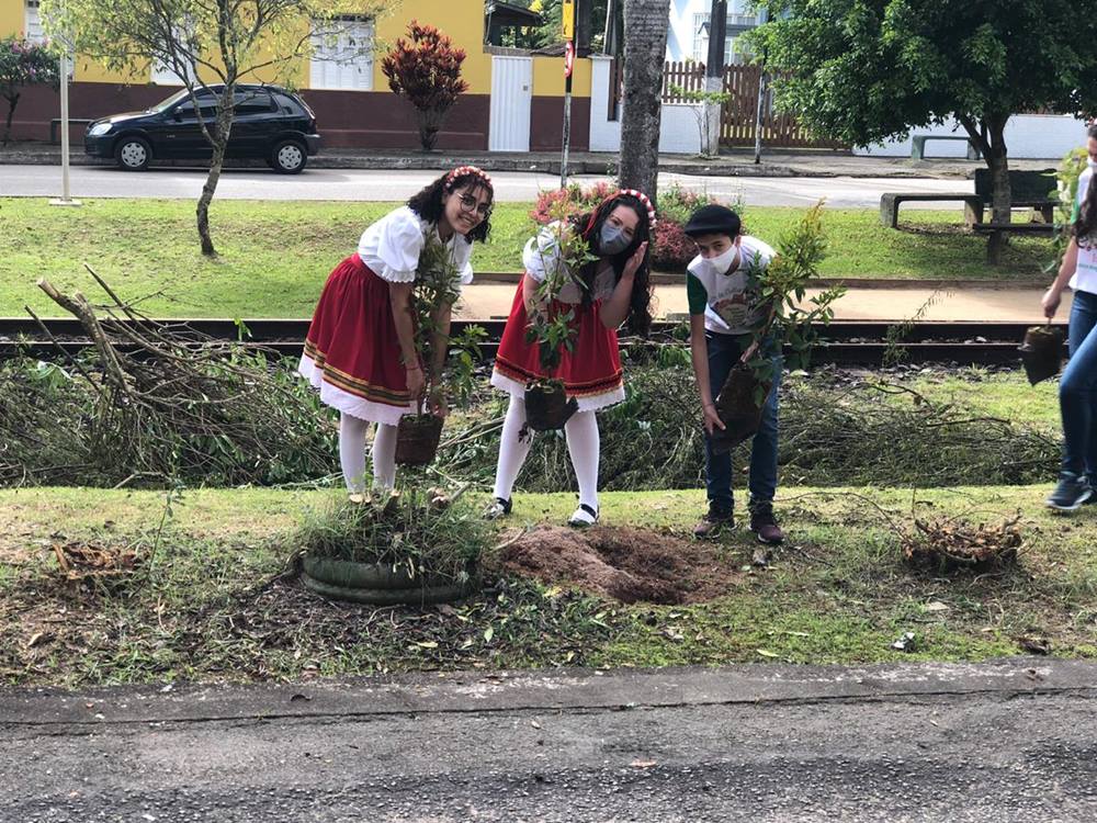 Moradores de Araguaia ampliam cultivo de manacás 4