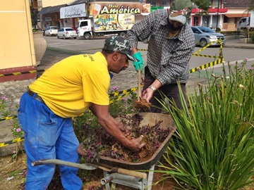 Plantas para embelezar museu histórico em Marechal Floriano
