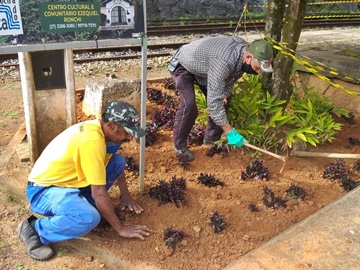 Plantas para embelezar museu histórico em Marechal Floriano 2