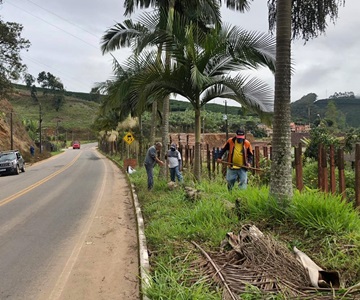 Plantio de árvores por servidores municipais e moradores de Araguaya em Marechal Floriano