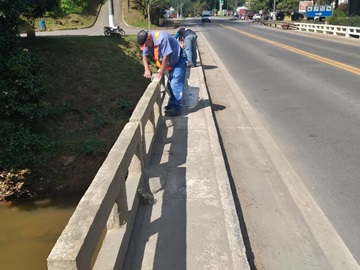 Arvoredos e corrimão de ponte na BR 262 pintados em Marechal Floriano