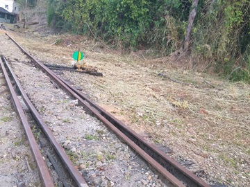 Equipe braçal da Prefeitura Municipal de Marechal Floriano promove limpeza ao longo da linha