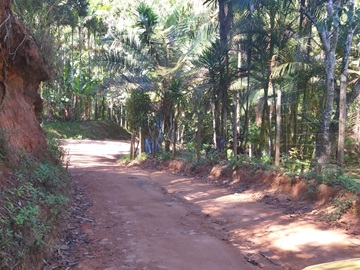 Estrada do Caracol em Marechal Floriano receberá serviço de terraplanagem e cascalho