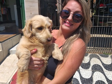 Cãozinho desaparecido é encontrado em Marechal Floriano